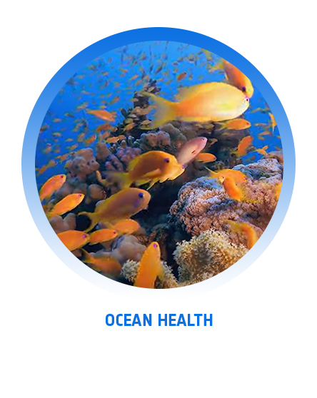 Ocean health