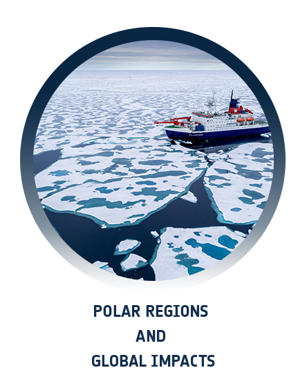 Polar regions and global impacts
