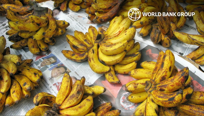 EO Clinic: Responsible Banana Supply Chains in the Philippines